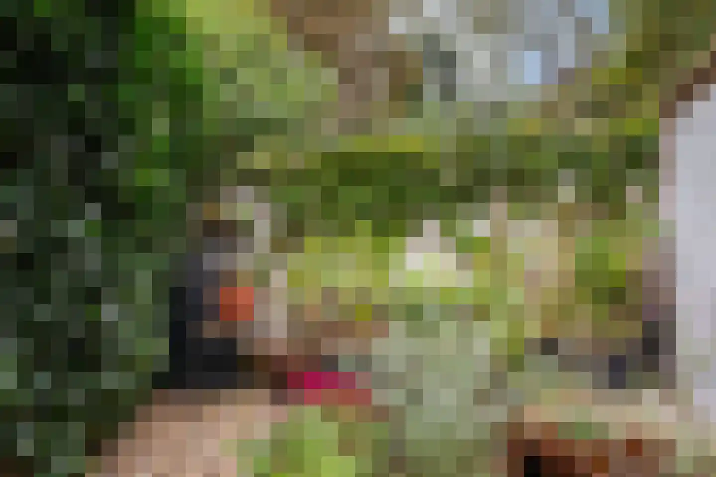 Eikbosserweg 20 Hilversum thumbnail 39
