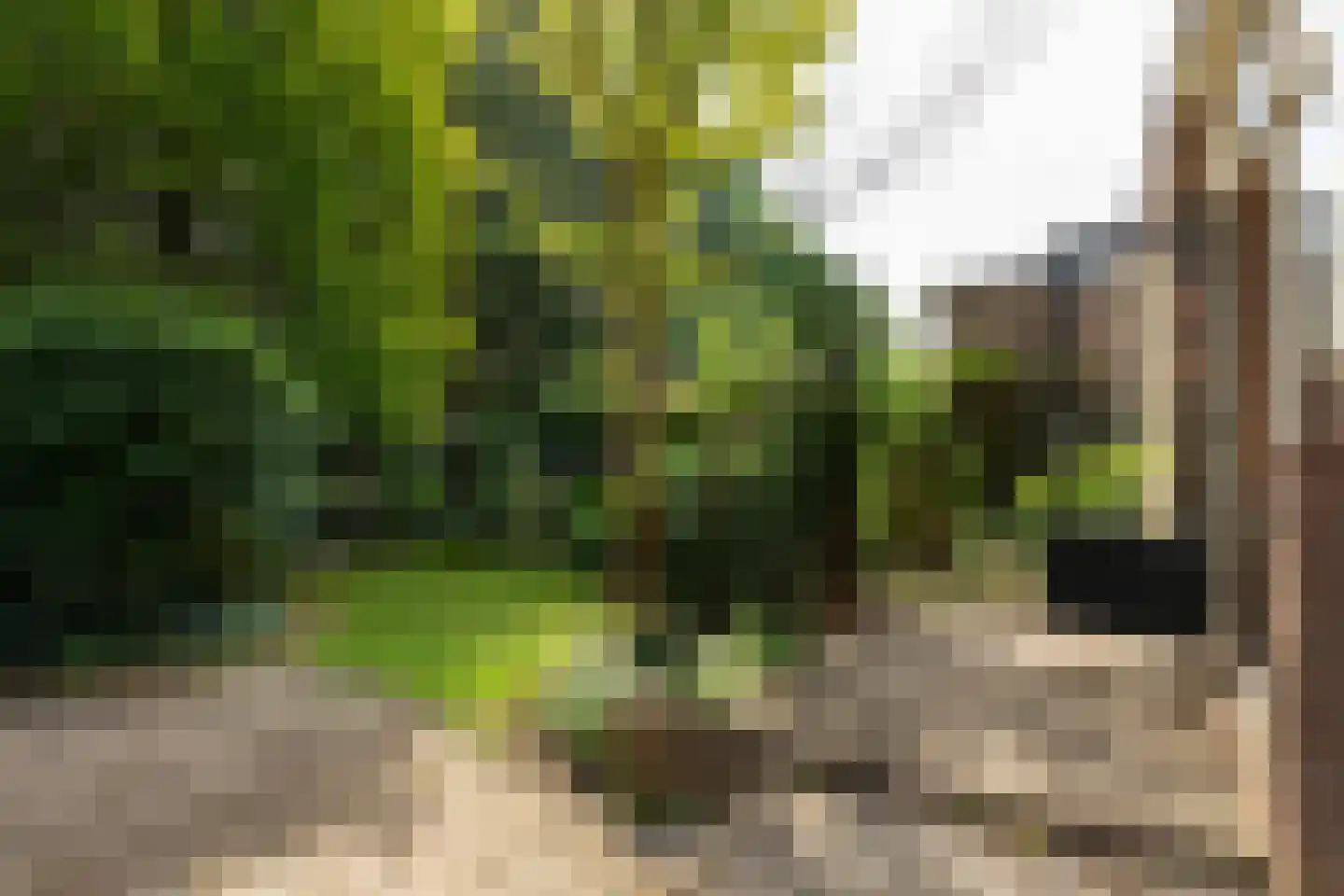 Eikbosserweg 203 Hilversum thumbnail 29
