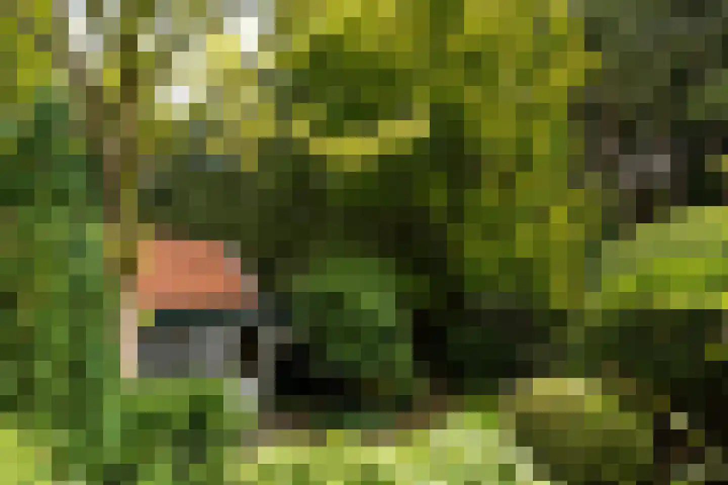 Eikbosserweg 203 Hilversum thumbnail 31