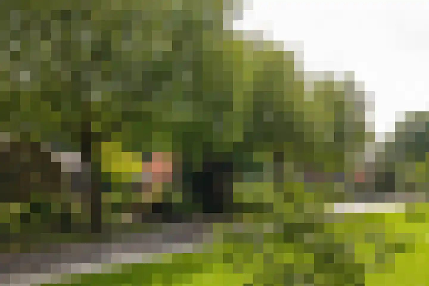Eikbosserweg 203 Hilversum thumbnail 33