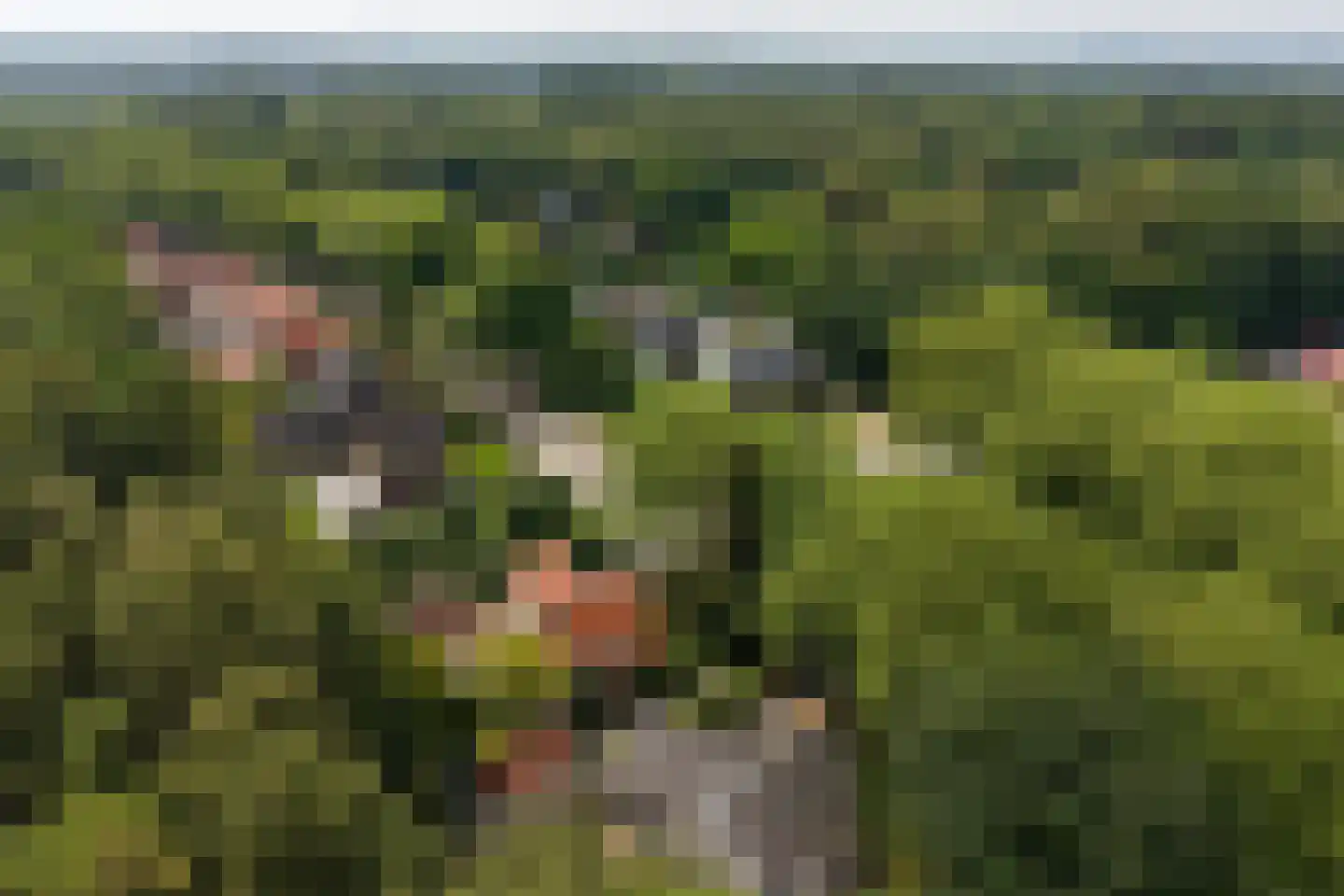 Eikbosserweg 203 Hilversum thumbnail 35