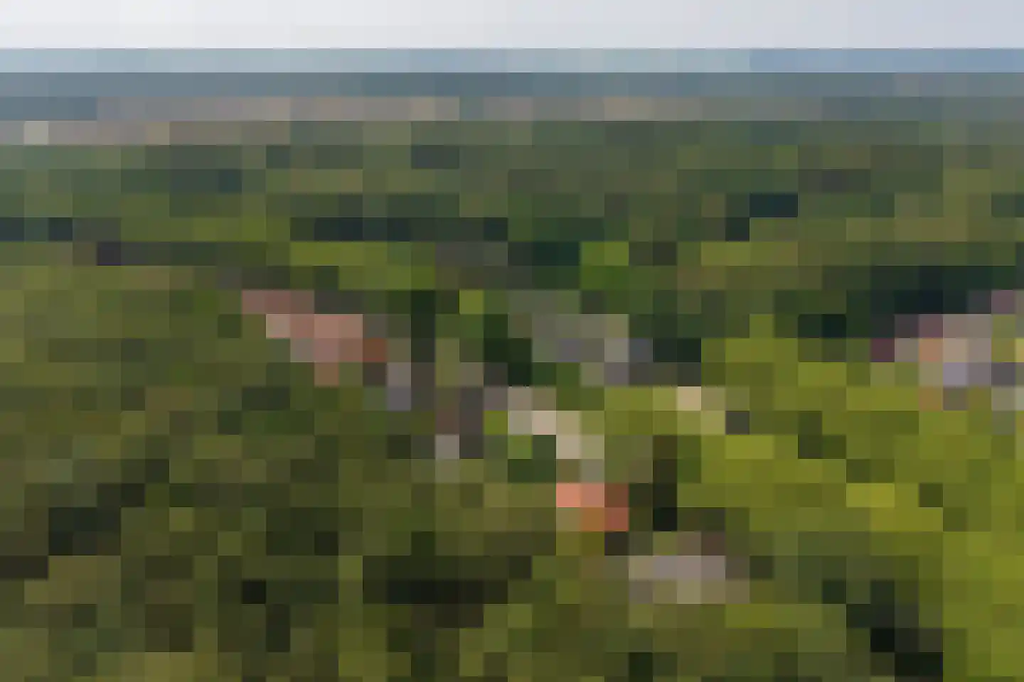 Eikbosserweg 203 Hilversum thumbnail 36