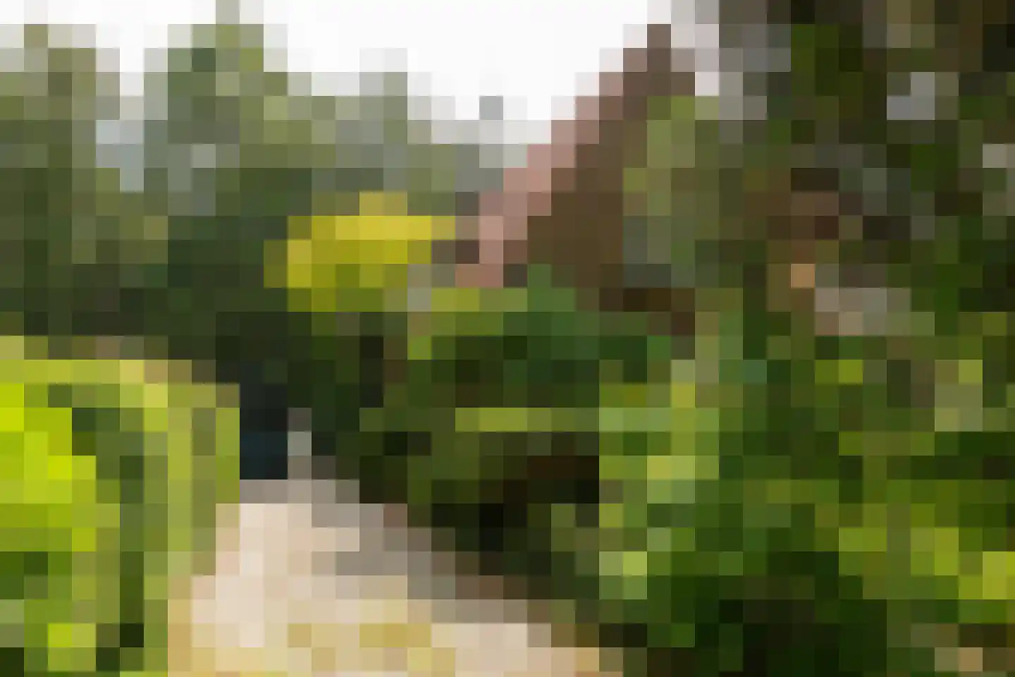 Eikbosserweg 203 Hilversum thumbnail 4