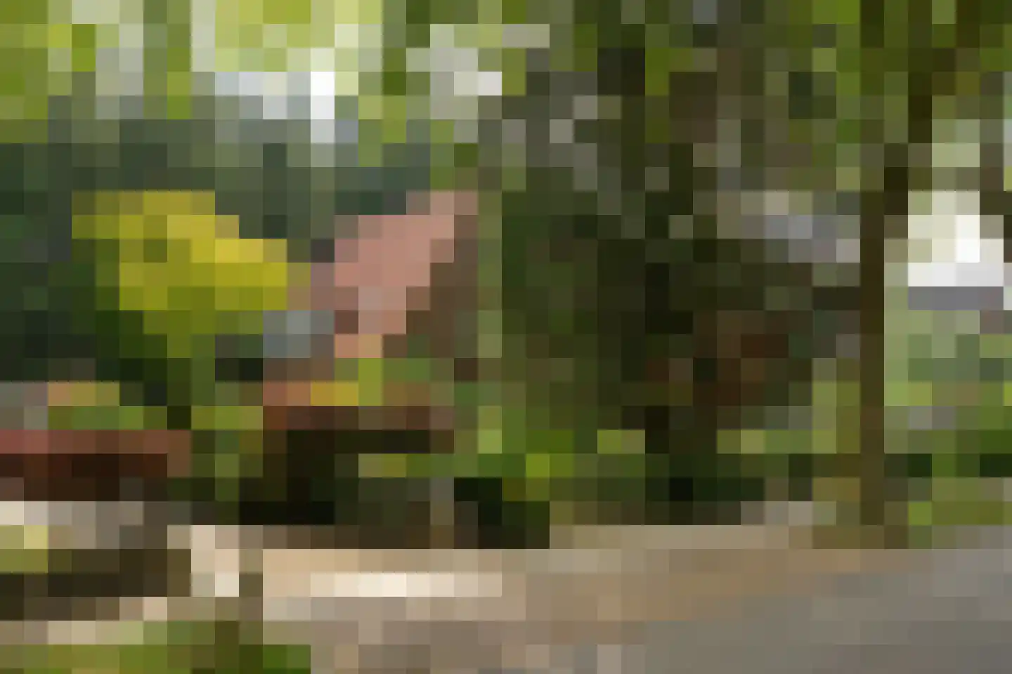 Eikbosserweg 203 Hilversum thumbnail 5