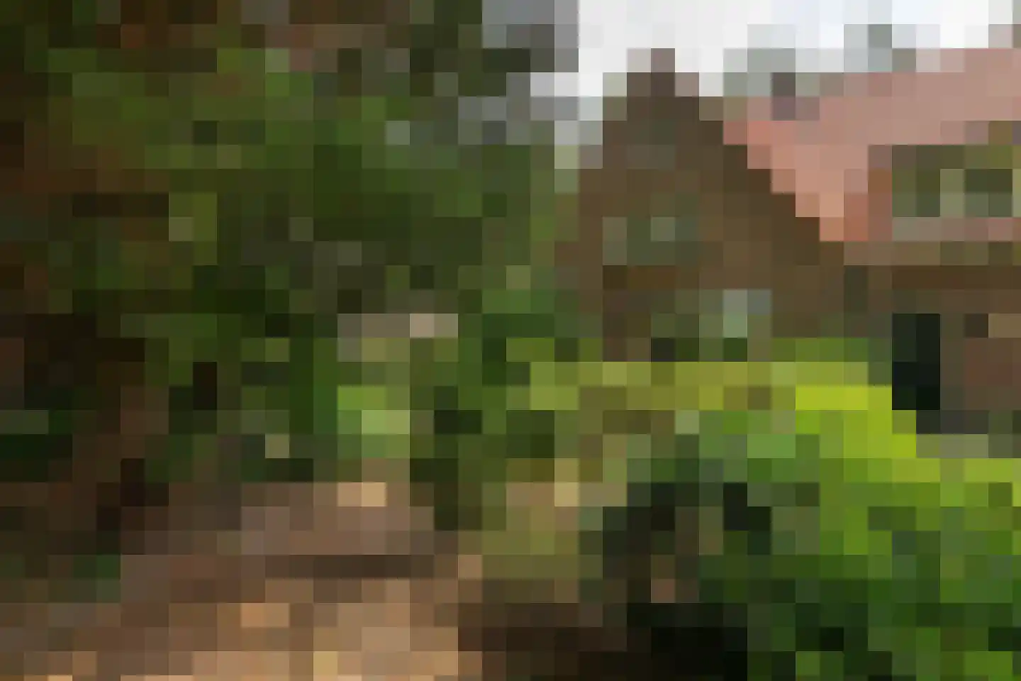Eikbosserweg 203 Hilversum thumbnail 7