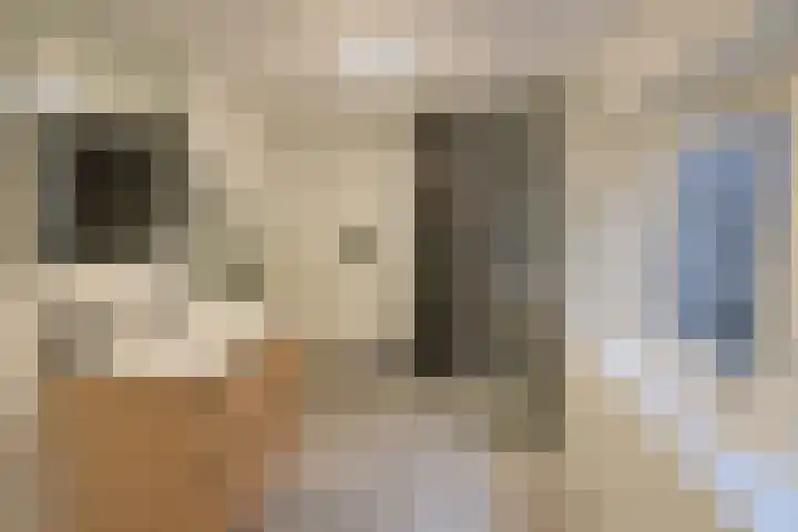 Eikbosserweg 210 Hilversum thumbnail 11