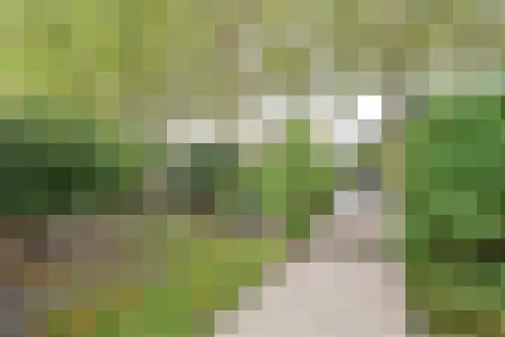 Eikbosserweg 210 Hilversum thumbnail 20