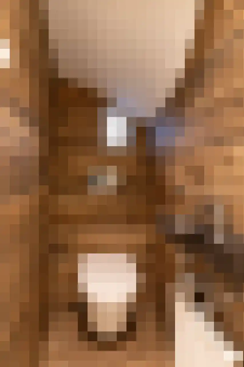 Eikbosserweg 216 Hilversum thumbnail 10