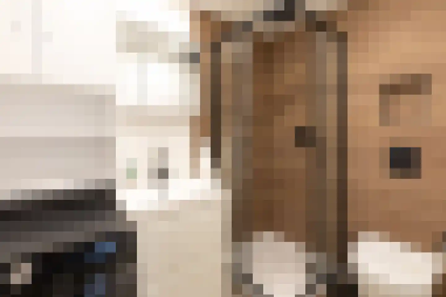 Eikbosserweg 216 Hilversum thumbnail 32