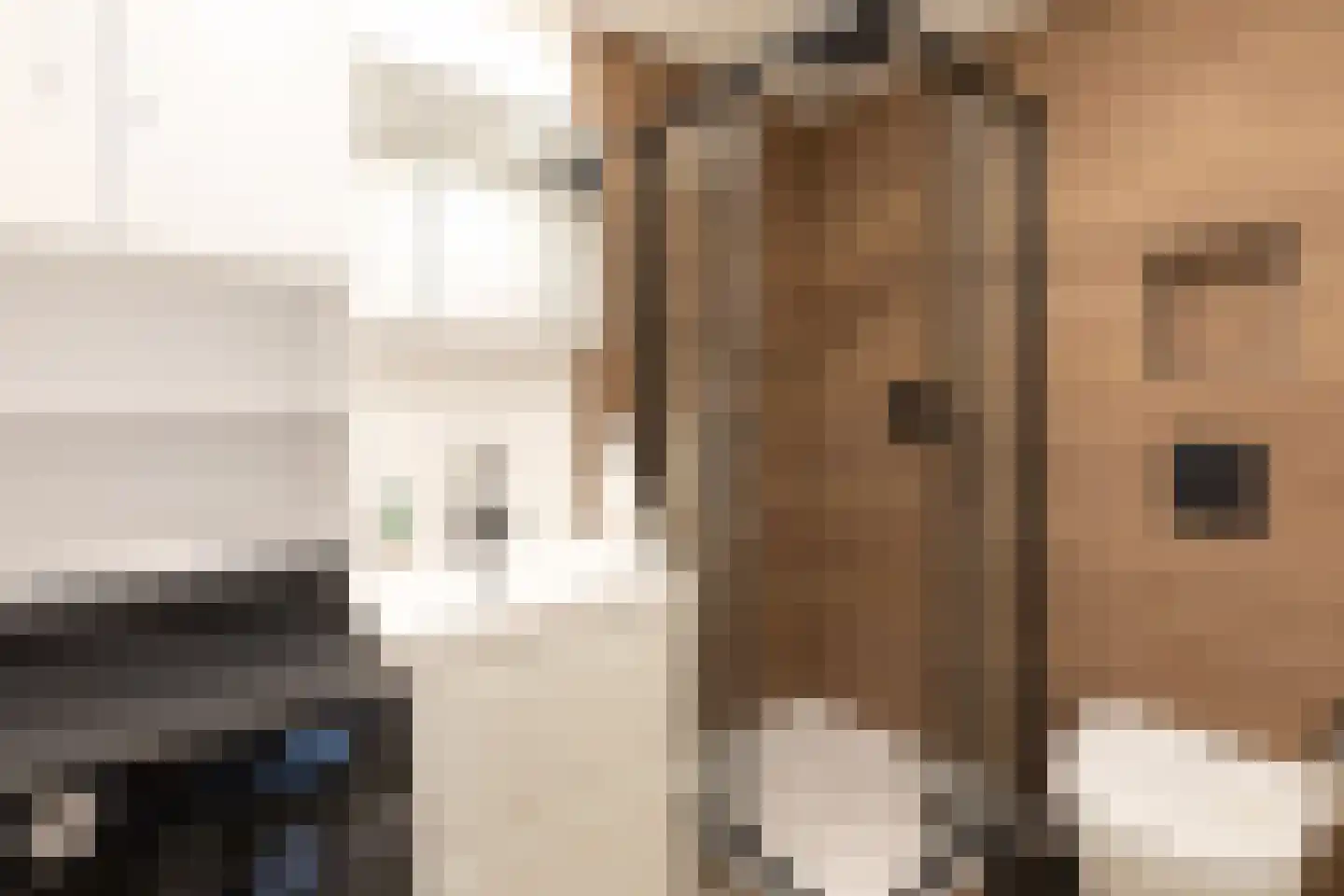 Eikbosserweg 216 Hilversum thumbnail 32