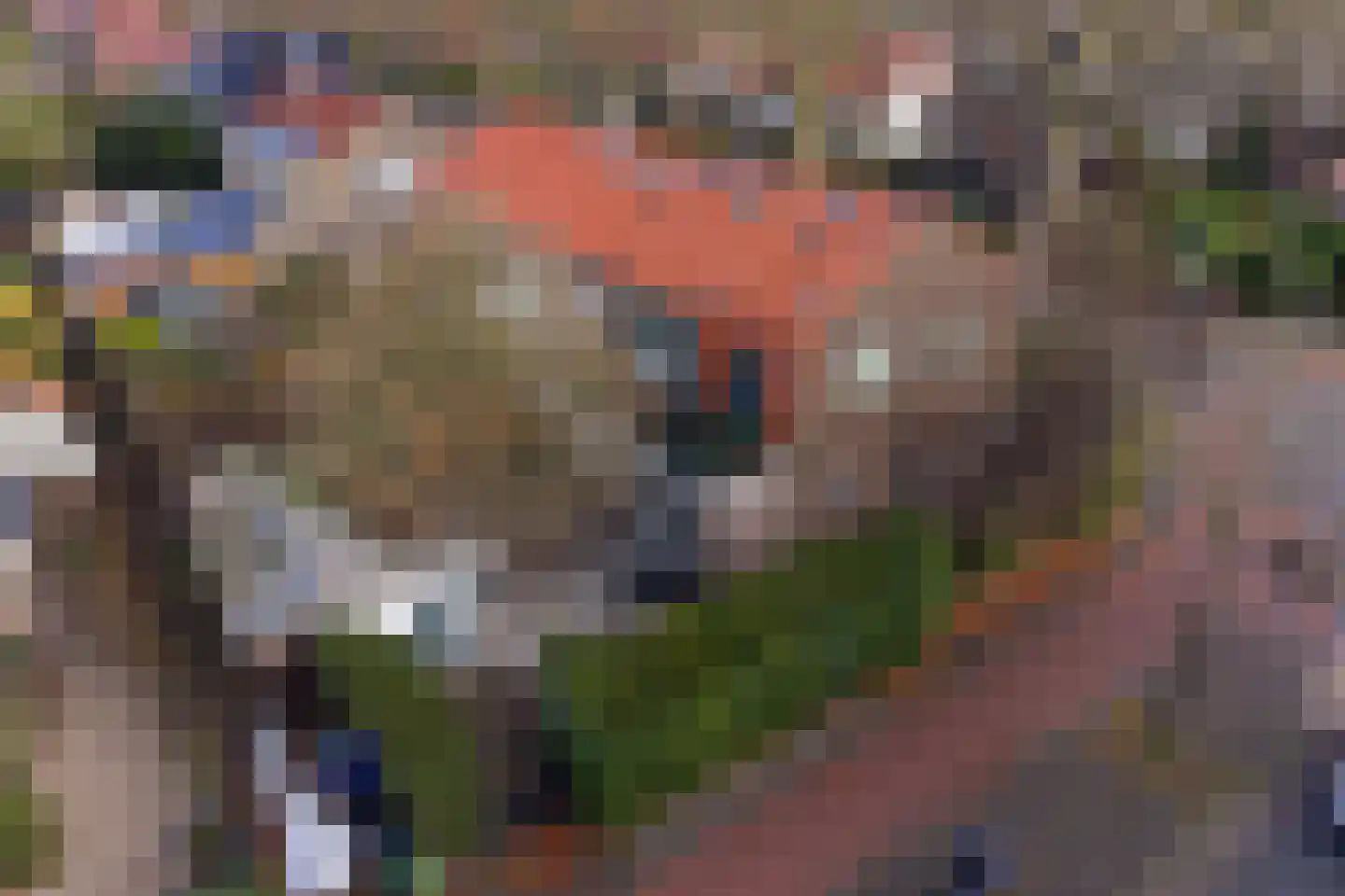 Eikbosserweg 216 Hilversum thumbnail 35