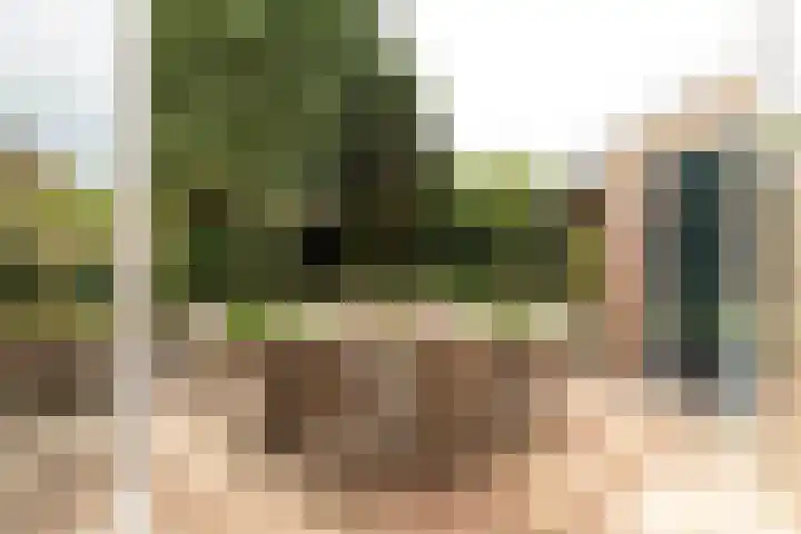 Eikbosserweg 256 Hilversum thumbnail 21