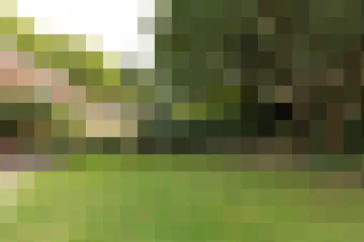 Eikbosserweg 256 Hilversum thumbnail 24