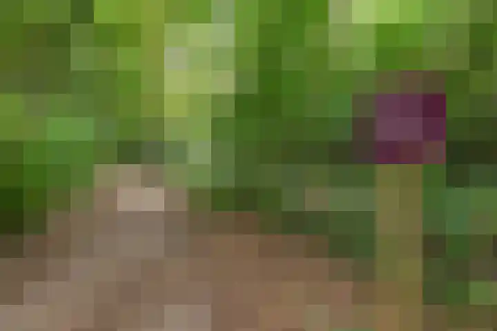 Eikbosserweg 256 Hilversum thumbnail 25