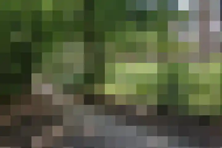 Eikbosserweg 256 Hilversum thumbnail 26