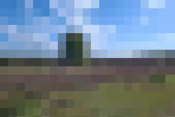 Eikbosserweg 256 Hilversum thumbnail 28