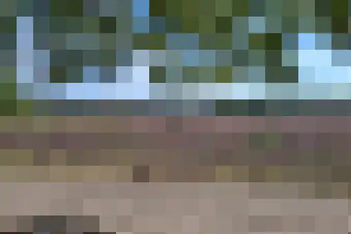 Eikbosserweg 256 Hilversum thumbnail 29