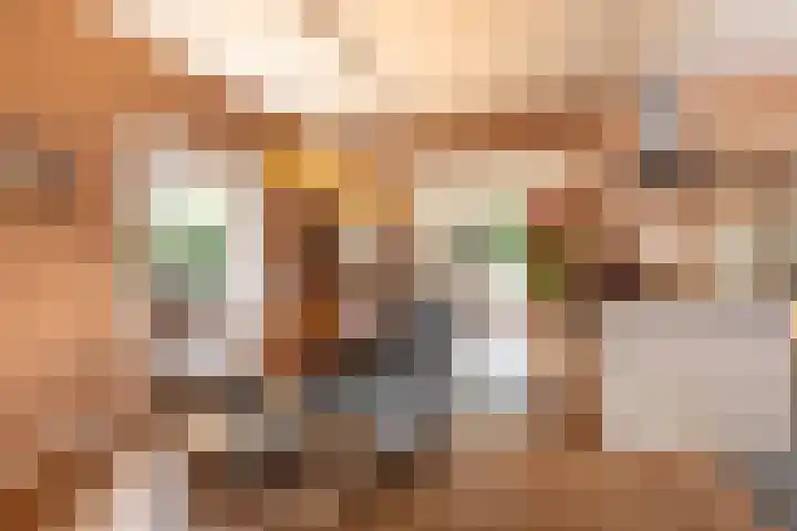 Eikbosserweg 256 Hilversum thumbnail 6