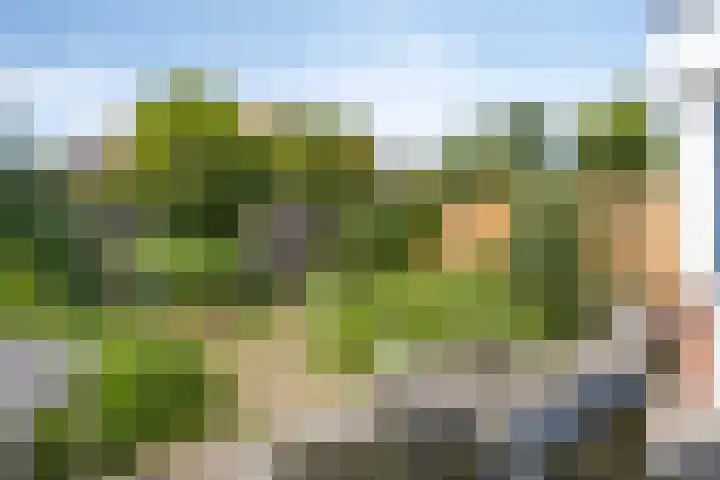 Eikbosserweg 36 Nunspeet thumbnail 25