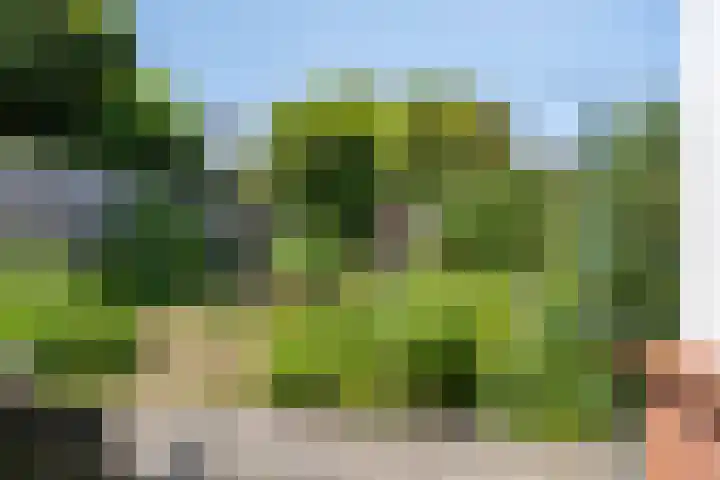 Eikbosserweg 36 Nunspeet thumbnail 26
