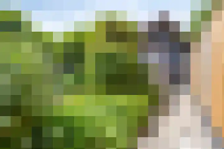 Eikbosserweg 36 Nunspeet thumbnail 27