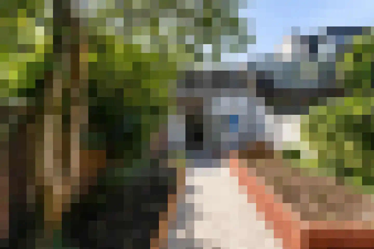 Eikbosserweg 47 Hilversum thumbnail 19