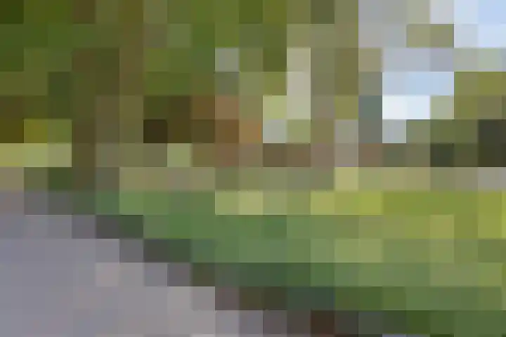 Eikebeek 13 Veldhoven thumbnail 10
