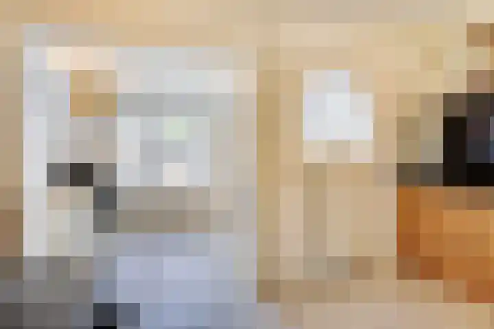 Eikebeek 13 Veldhoven thumbnail 19