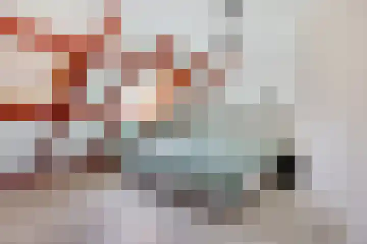 Eikebeek 13 Veldhoven thumbnail 32