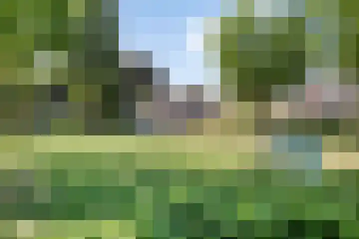 Eikebeek 13 Veldhoven thumbnail 40