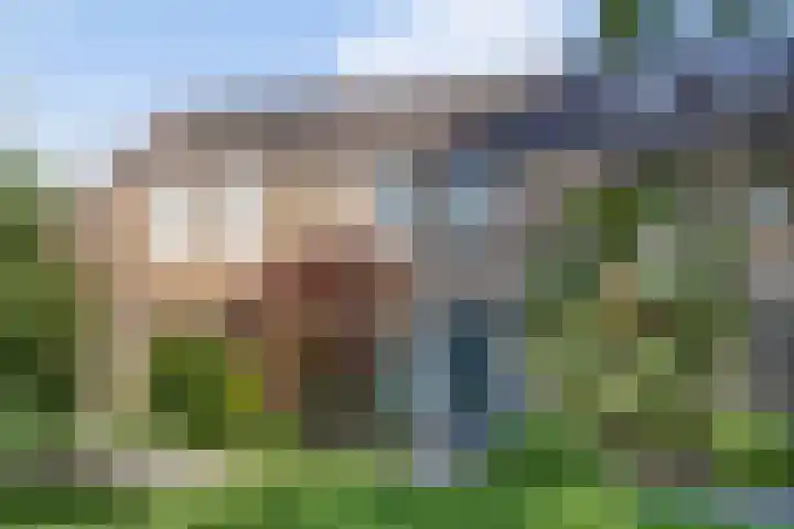 Eikebeek 13 Veldhoven thumbnail 8