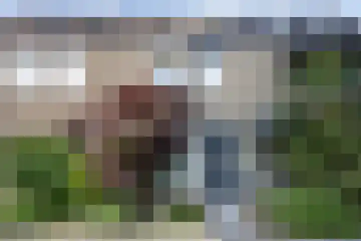 Eikebeek 13 Veldhoven thumbnail 9