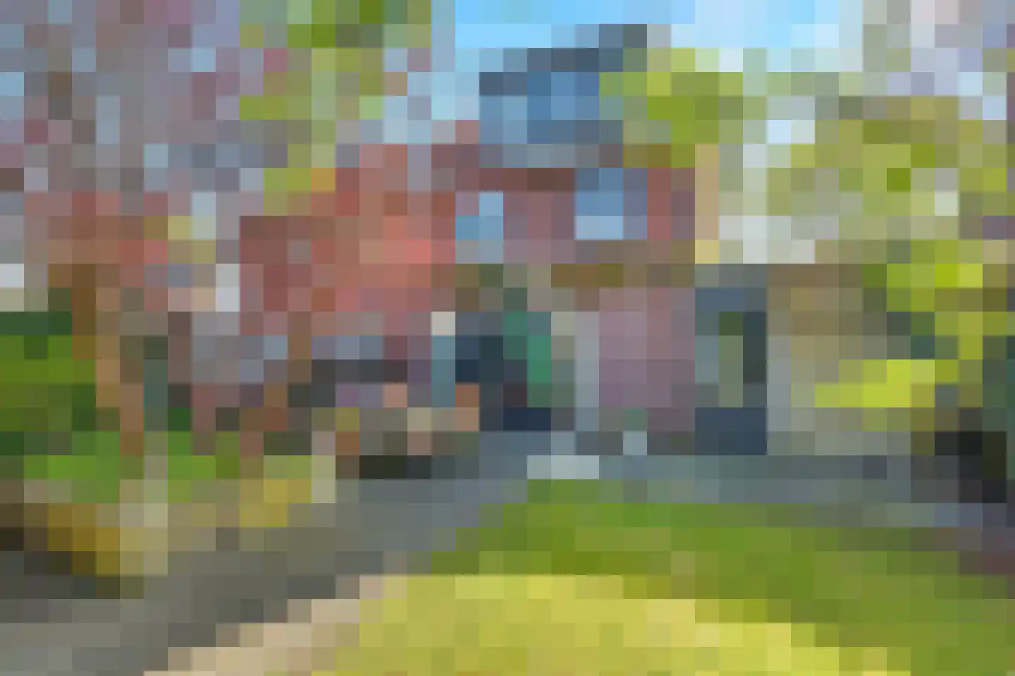 Eikebladvlinder 11 Enschede