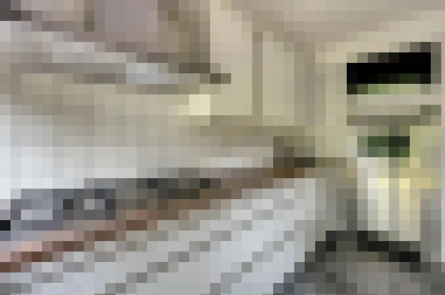 Eikebladvlinder 11 Enschede thumbnail 10