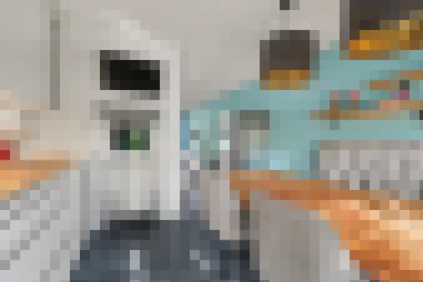 Eikebladvlinder 11 Enschede thumbnail 16