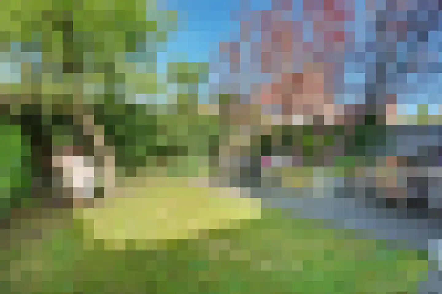 Eikebladvlinder 11 Enschede thumbnail 33