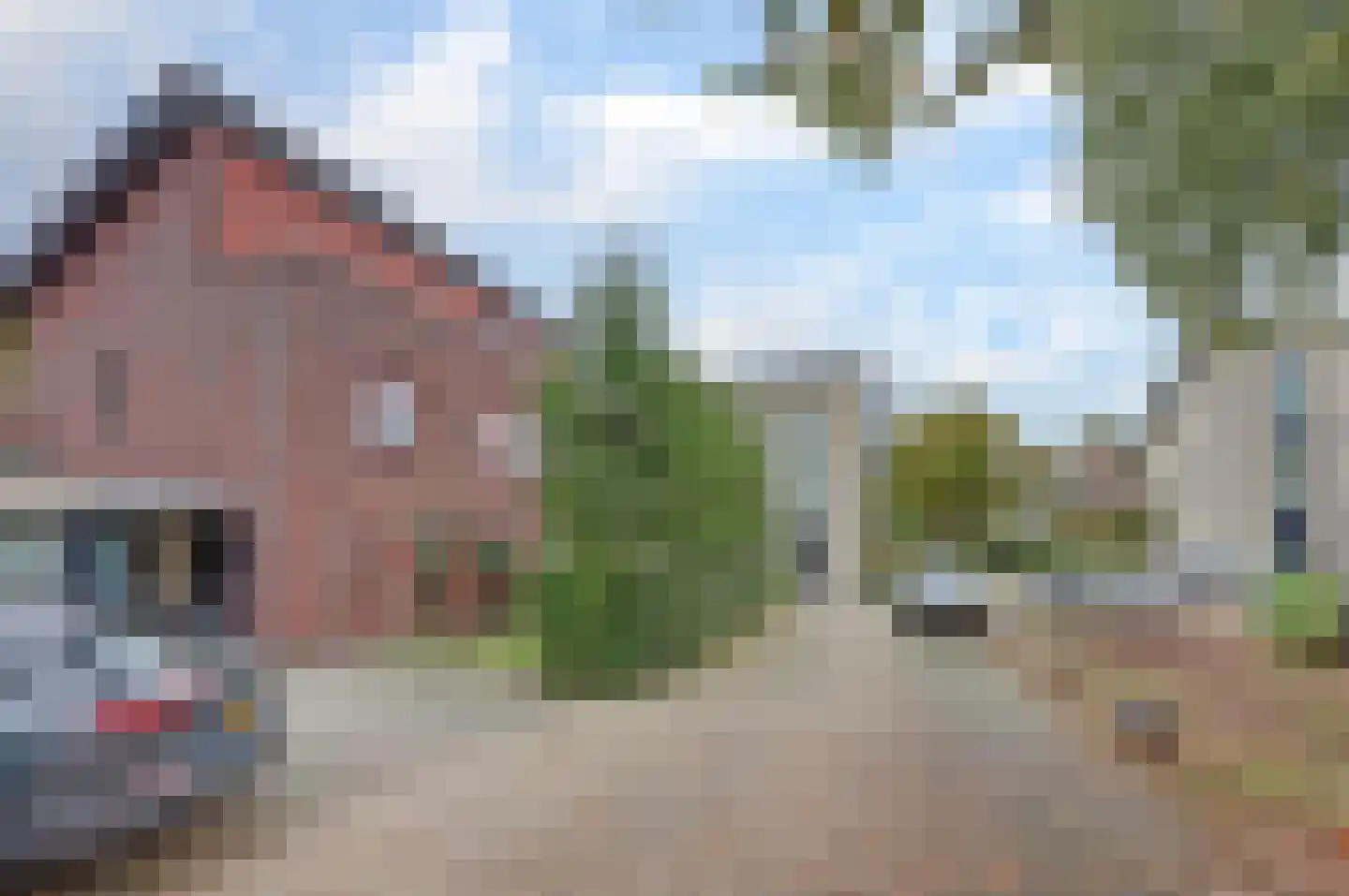 Eikebladvlinder 11 Enschede thumbnail 4