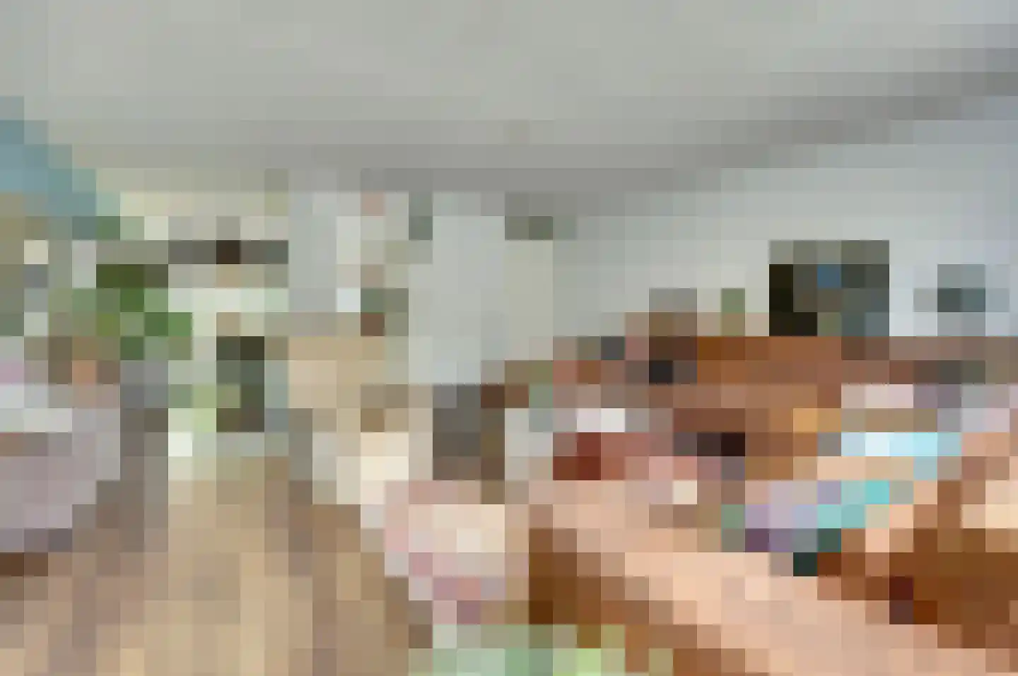 Eikebladvlinder 11 Enschede thumbnail 7