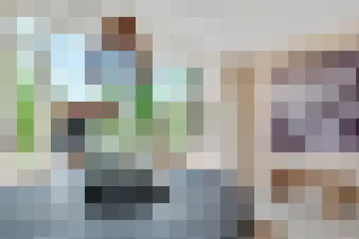 Eikebladvlinder 36 Amersfoort thumbnail 10