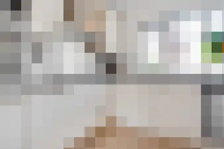 Eikebladvlinder 36 Amersfoort thumbnail 14