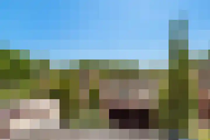 Eikebladvlinder 36 Amersfoort thumbnail 25