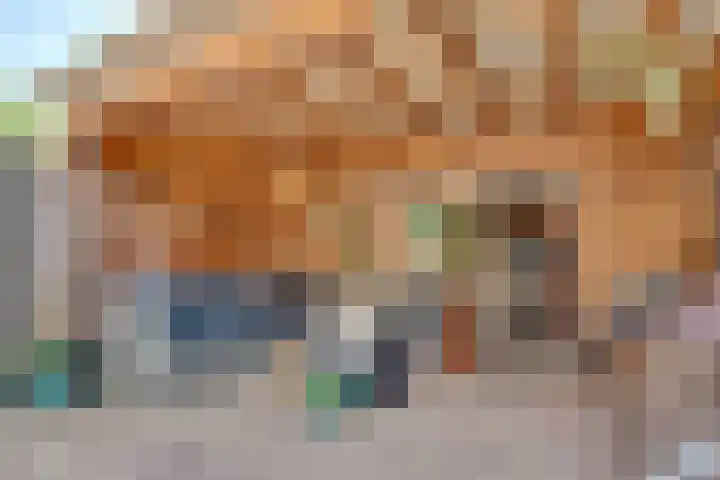 Eikebladvlinder 36 Amersfoort thumbnail 27