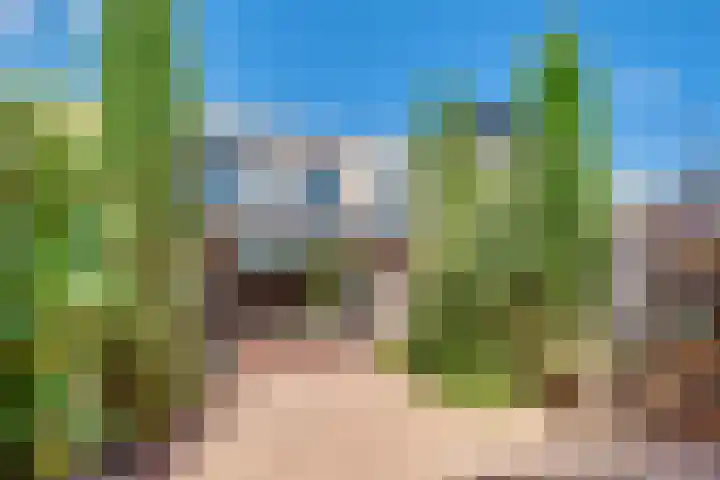 Eikebladvlinder 36 Amersfoort thumbnail 30