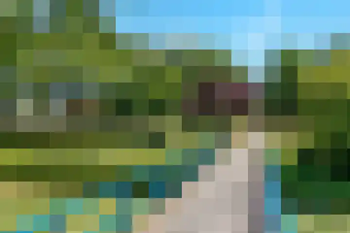 Eikebladvlinder 36 Amersfoort thumbnail 31