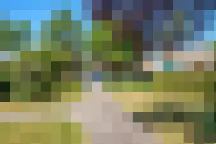 Eikebladvlinder 36 Amersfoort thumbnail 32