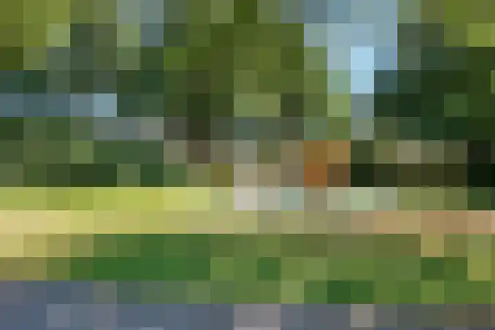 Eikebladvlinder 36 Amersfoort thumbnail 33