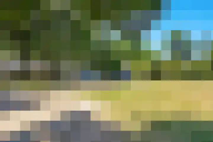Eikebladvlinder 36 Amersfoort thumbnail 34