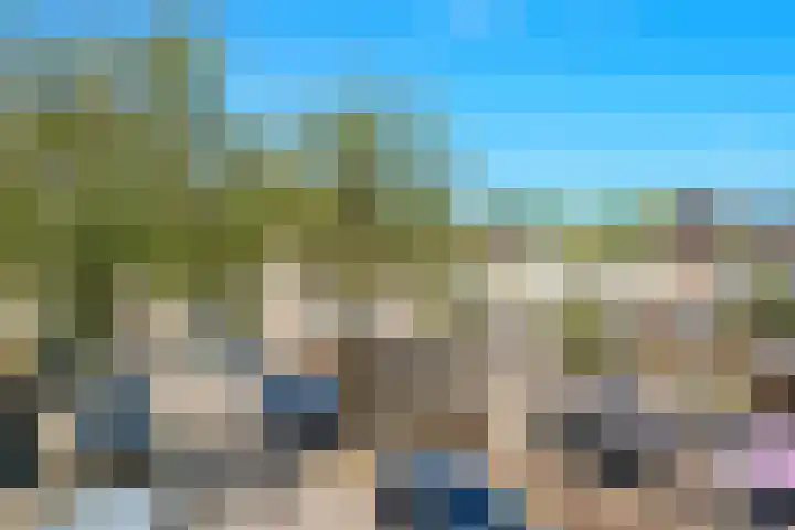 Eikebladvlinder 36 Amersfoort thumbnail 35