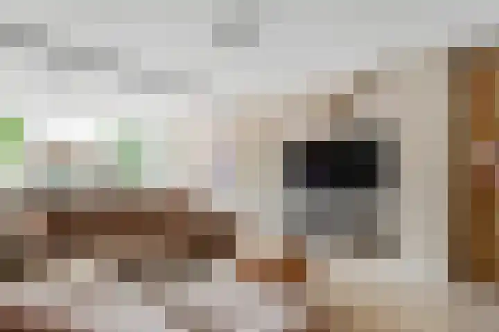 Eikebladvlinder 36 Amersfoort thumbnail 7