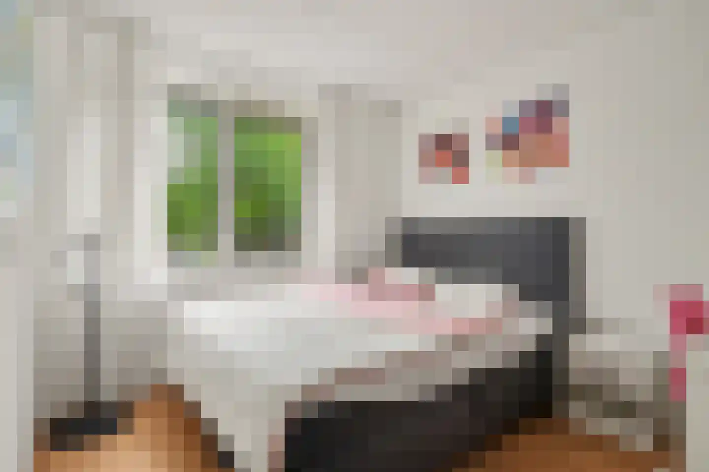 Eikebladvlinder 46 Enschede thumbnail 16
